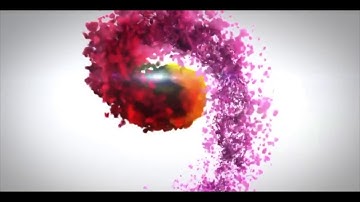 (Easy GCSE PE Tutorial) Learn The Components of a Cool Down