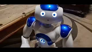 AI Azure Vision Tests for Nao Robot and Vector Robot using Azure Cognitive Computer Vision