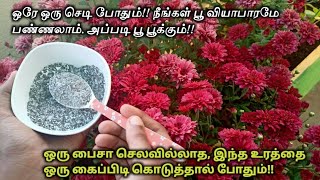 காடு மாதிரி சாமந்தி பூக்கள் பூக்க, செலவில்லாத இந்த உரத்தை ஒரு கைப்பிடி கொடுத்தாலே போதும்!!