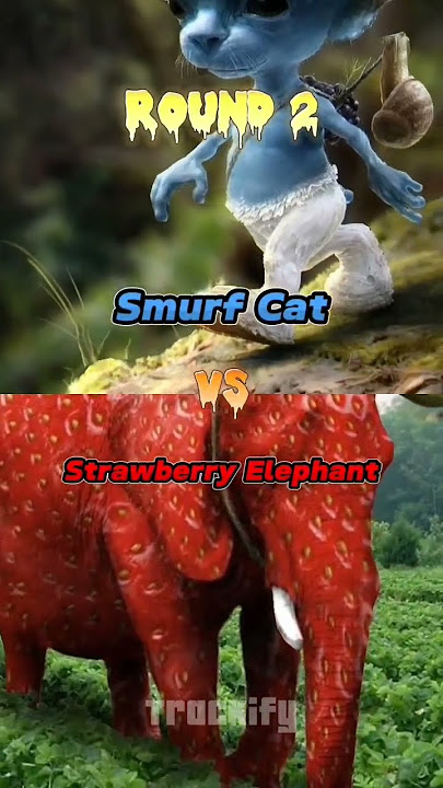 CapCut_elefante morango smurf cat