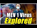 The MEV 1 Virus from Contagion Explored | How the Virus Sidesteps the Immune System and Replicates