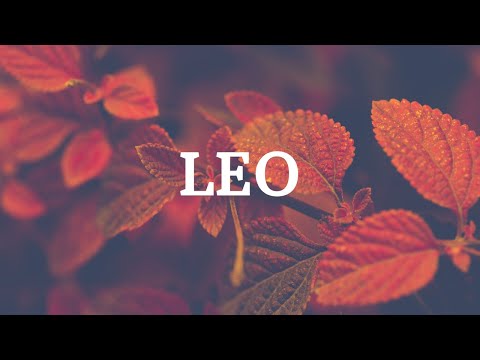 Video: Lo Que Está Preparando Para Leo
