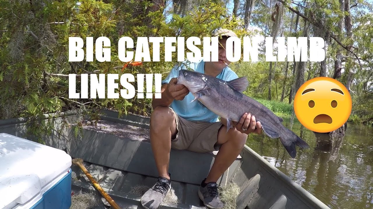 Catching Louisiana Summer Bluegill and Catfish - Catching Catfish