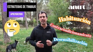 Habituación, desensibilización y contracondicionamiento  Educación canina amable