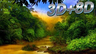 3D+8D Beautiful music for Relaxation, Meditation and Sleep. The sound of RAIN in the rainforest