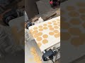 Pani Puri Cutting Machine | Automatic Golgappa Cutting Machine | Food Processing Machine