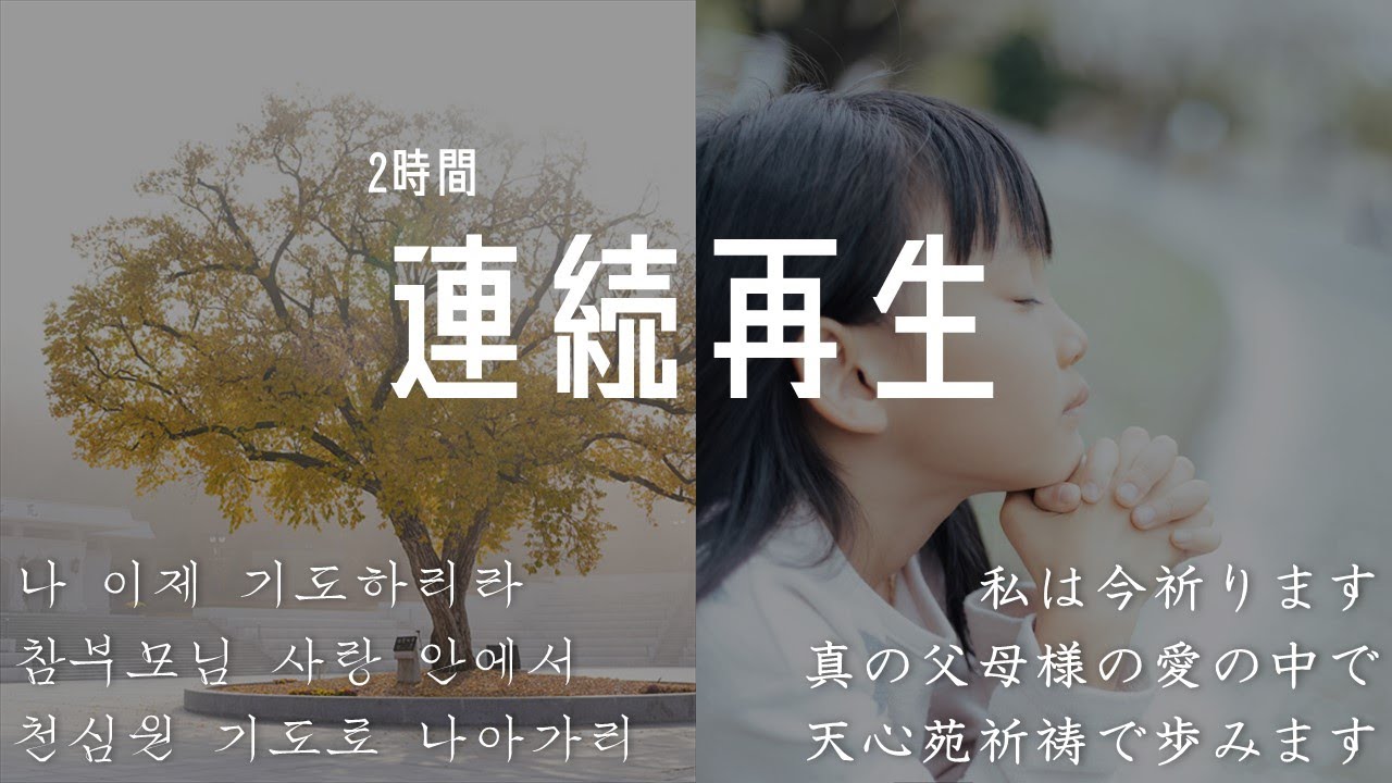 天心苑Song　メドレー2時間連続再生 2시간연속듣기