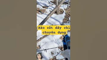 Kéo cắt dây chì chuyên dụng