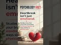 The Truth About Heartbreak | Psychology Facts #heartbreak #breakup #facts #shorts #shortvideo