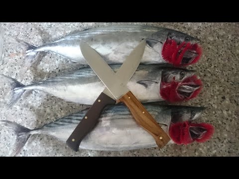 En Kolay Palamut Temizleme Yöntemi(bonito Fish Palamida بونيتو カツオ Sarda скумбріїi 鲣скумбри बोनिटो)