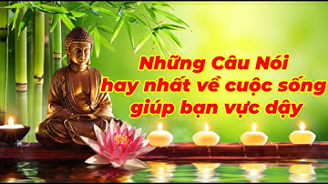 Những Câu Nói Bất Hủ Vực Dậy Tinh Thần Của Bạn