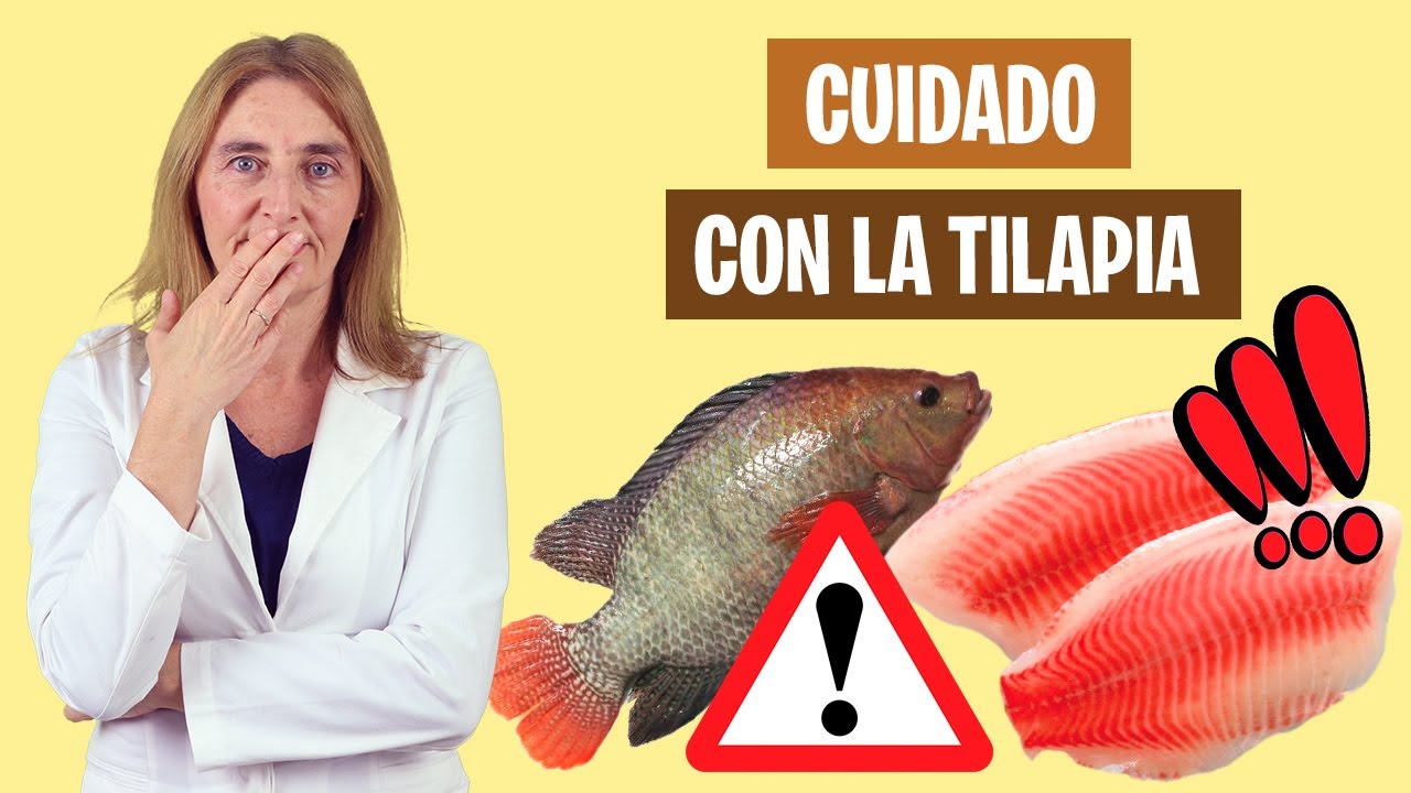 Tilapia: lo que debes saber antes de comerla