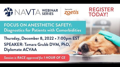 Focus on Anesthetic Safety: Diagnostics for Patients with Comorbidities