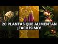 20 Plantas Olvidadas que Producen Comida Sin Esfuerzo