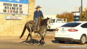 Roxy - riding in town! - ValleyViewRanch.net