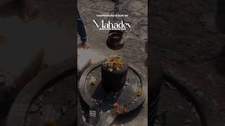 Mahadev Status Video Shiv Status Bholenath Status Video