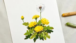 오일파스텔로 민들레 그리기. Drawing dandelions with oil pastel.
