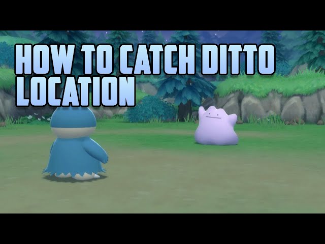 Where to get Ditto in Pokémon Brilliant Diamond and Shining Pearl