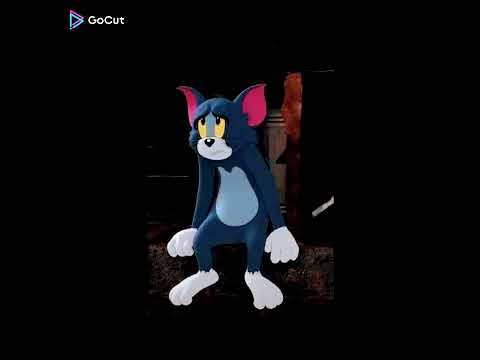 صور رائعه وجميله على توم وجيري اغنيه راح ورحل راح ورحل في رجعته مالي