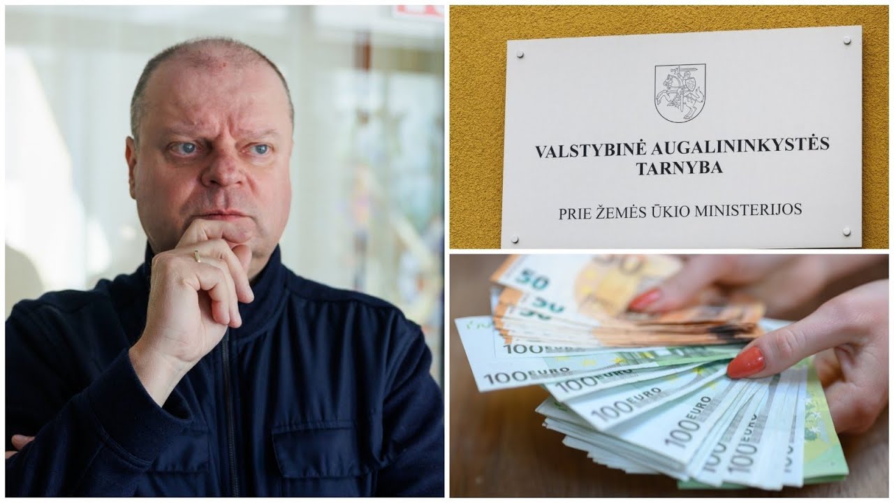 Širinskienė, Puchovič, Asanavičiūtė, Pinelis: moralė miršta, patyčios bujoja?