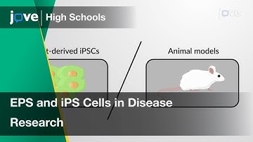 EPS and iPS Cells in Disease Research | Cell Bio | Video Textbooks - Preview