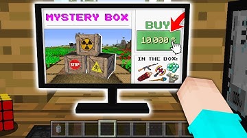 NOOB BUY MYSTERY BOX in the INTERNET! What is in this BOX? NOOB vs PRO Challenge in Minecraft!