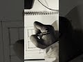 Modern House Design Sketch