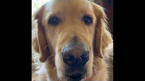 Optimistic Closure 10 28 20