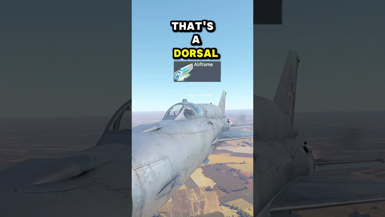 Why Does This MIG 21 Have A BIG SPINE 