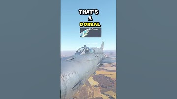 Why does this MIG-21 have a BIG SPINE?!?