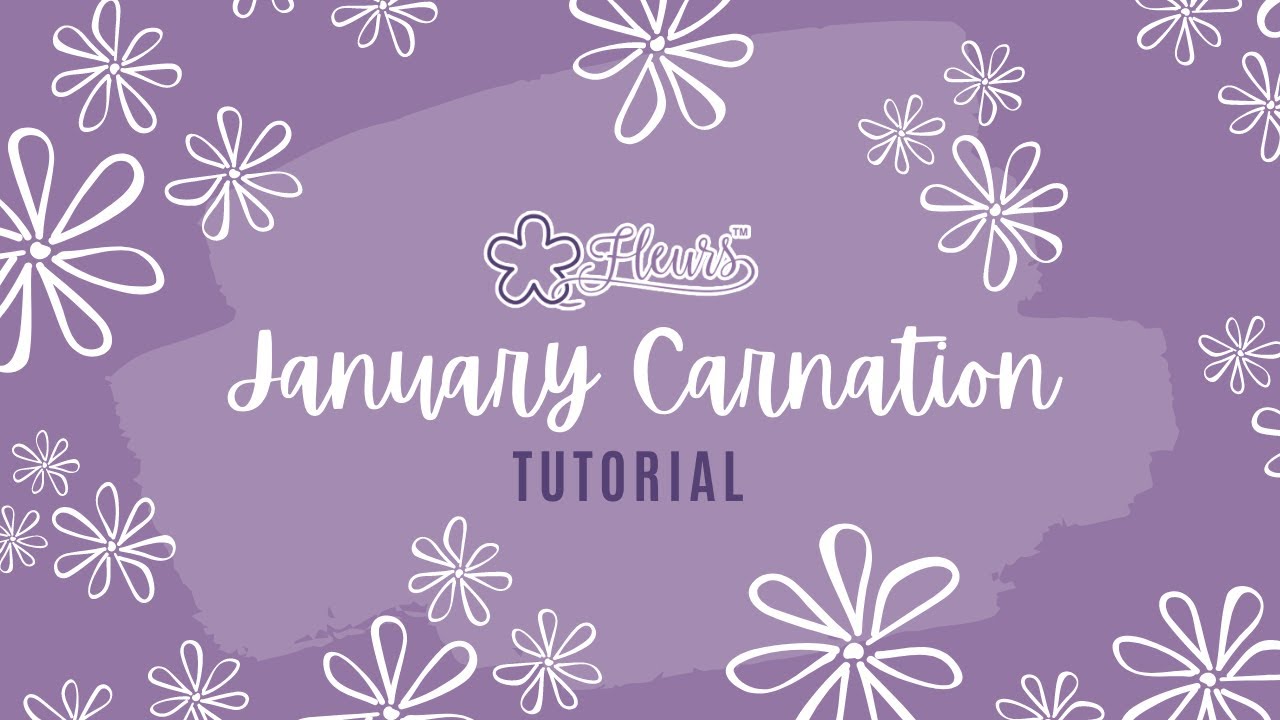 January Carnation | Fleurs A Year in Flowers