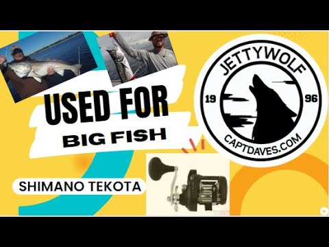 New for 2022 - SHIMANO TEKOTA A 800 Trolling Reel 