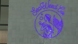 Sea Weed Company set to open second location in Portland
