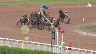 Vidéo de la course PMU PRIX DU PALAIS DE CHAILLOT