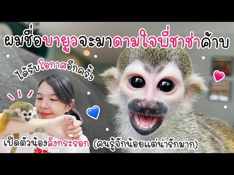 ผมลิงบายูวจะมาดามใจพี่ชาช่าค้าบ ❤️ เปิดตัวน้องใหม่ 🐵🌈