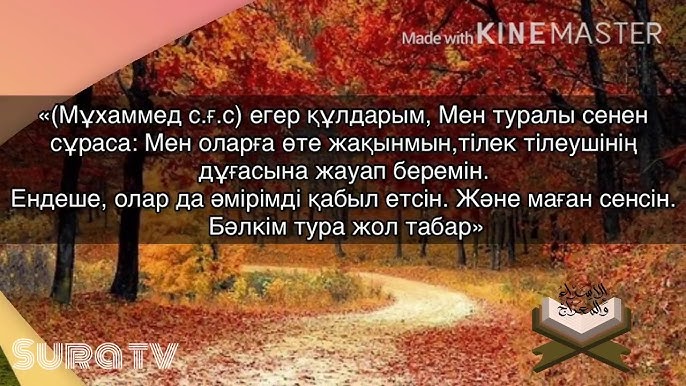 Марианна Кордоба транс порно