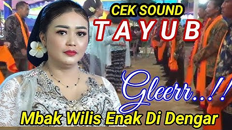 tayub mbak Wilis enak di dengar gayeng sampai akhir,bass glerr