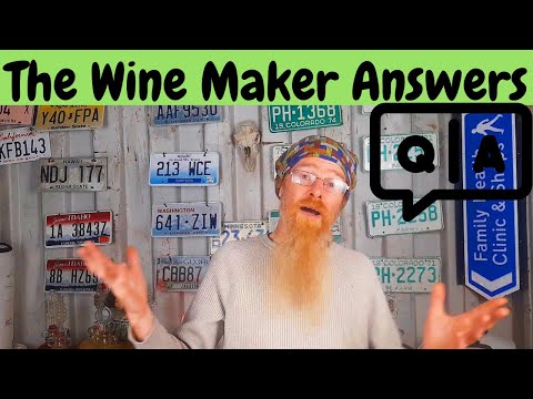 Your questions answered, from stuck ferments to salad growing!