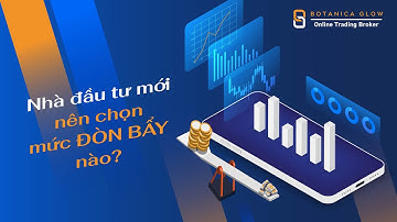 Nhà đầu tư mới nên chọn mức ĐÒN BẪY nào? | BT Markets
