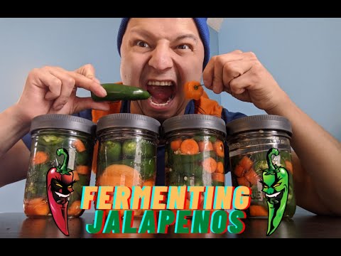 How To Ferment