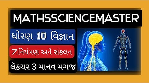 std10 ch7 niytaran ane sankalan /Manav magaj/ human brain / Manav magaj dhoran 10 vigyan