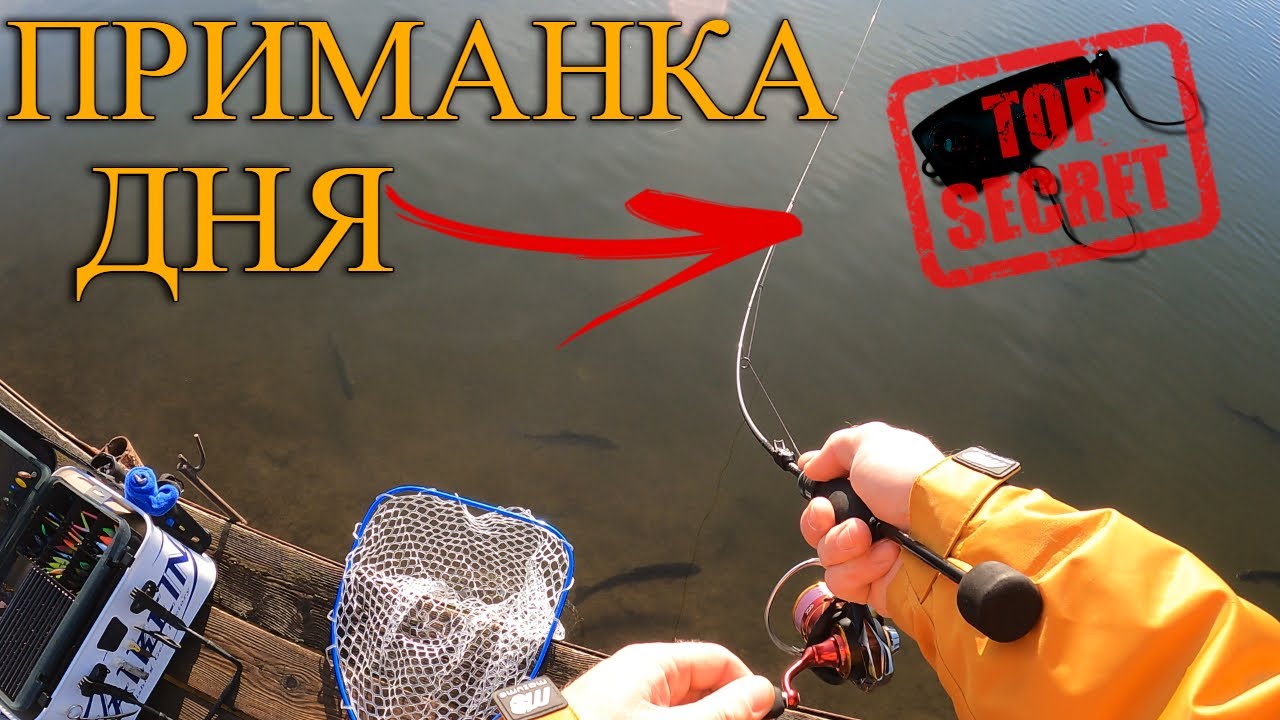 Любимая приманка форели в Бисерово, вот это клёв!