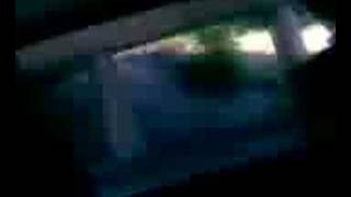 None (Cailey.mpeg) for September 18, 2007, 10:04 PM