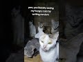 Every bit of your support counts. Click on the links in our bio to donate for any support#cat #help