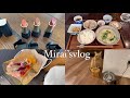 Mirai’svlog/SUQQUE のnewリップ3本に、家で飲んでるコーヒーの種類、マドの誕生日会に大好きな定食屋さん&more