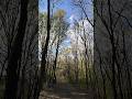 #nature #spring #health #forest #walking #naturewalk #instagood #instahealth #fashion #love