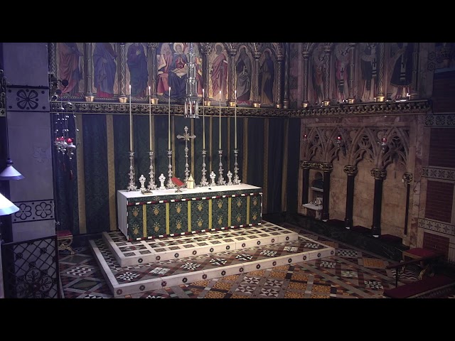 High Mass for the Eleventh Sunday after Trinity