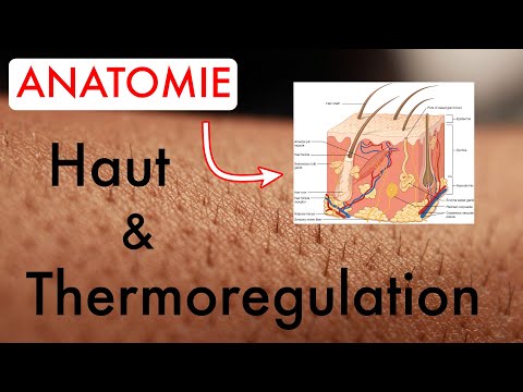 Video: Wo Frontalis injizieren?