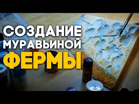 ДЕЛАЮ БОЛЬШУЮ МУРАВЬИНУЮ ФЕРМУ ДЛЯ КОЛОНИИ МУРАВЬЁВ ИЗ ИНДИИ! Как сделать формикарий? Димон и пумба