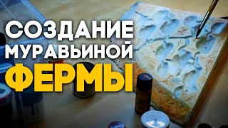 ДЕЛАЮ БОЛЬШУЮ МУРАВЬИНУЮ ФЕРМУ ДЛЯ КОЛОНИИ МУРАВЬЁВ ИЗ ИНДИИ! Как сделать формикарий? Димон и пумба